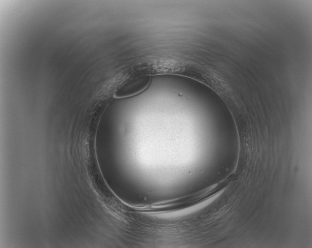 X0000058140690200509302019