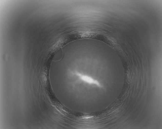 X0000058140691200509302019