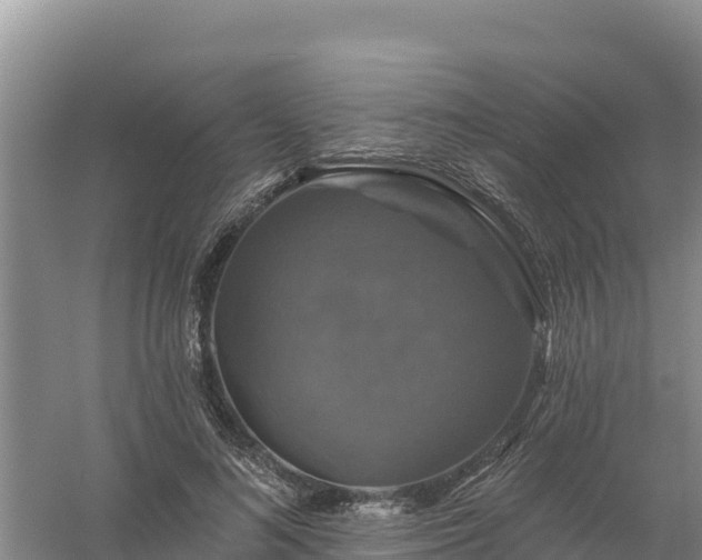 X0000058140692200509302019