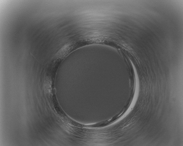 X0000058140693200509302019