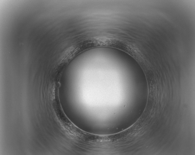 X0000058140694200509302019