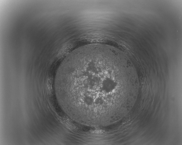 X0000058140695200509302019