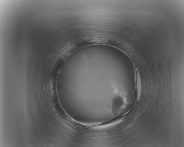 X0000058140696200509302019