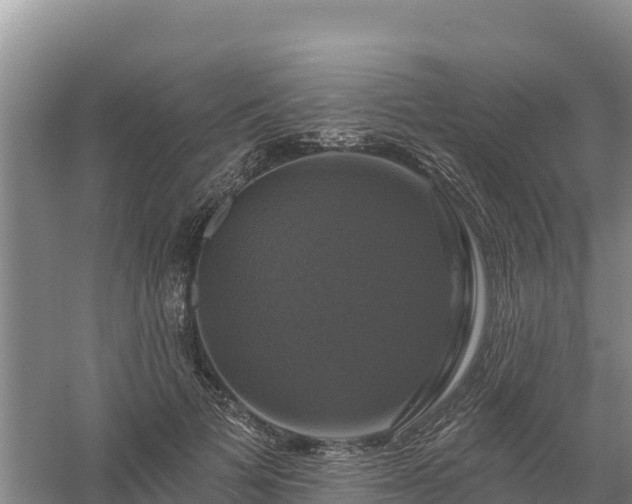 X0000058140697200509302019