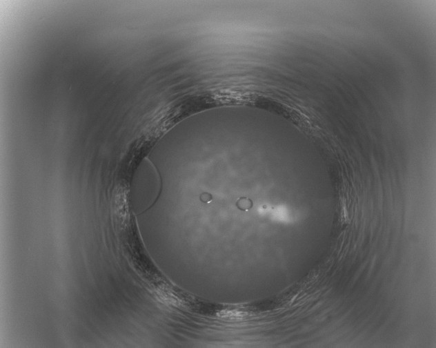 X0000058140699200509302019