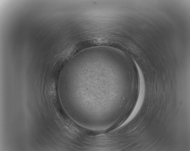 X0000058140700200509302019