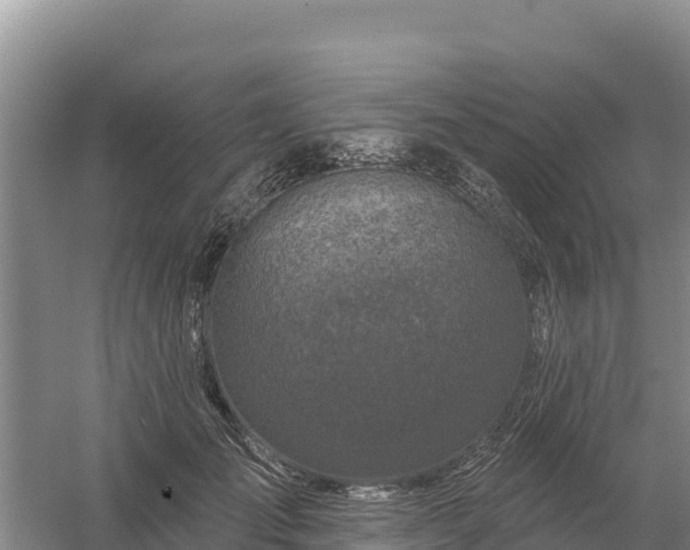 X0000058140701200509302019