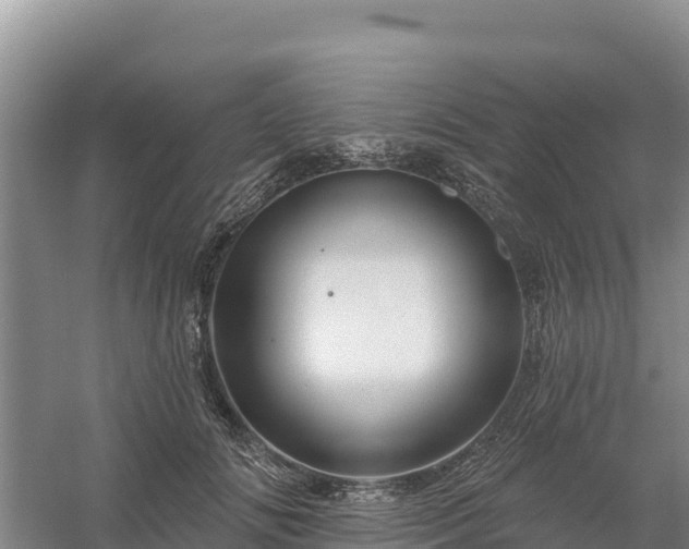 X0000058140702200509302019