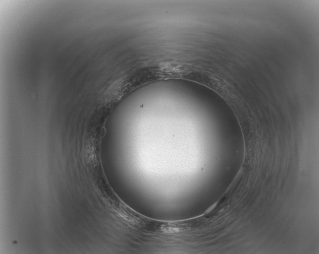 X0000058140706200509302019