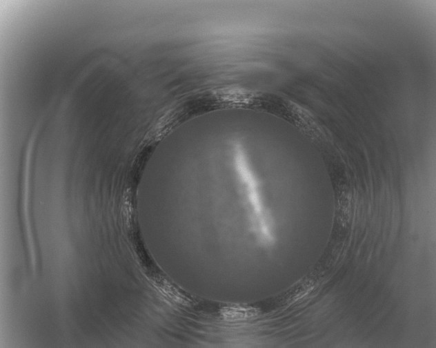 X0000058140707200509302019