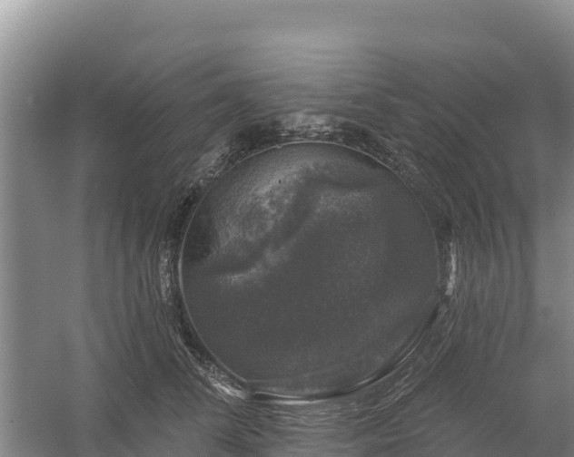 X0000058140708200509302019