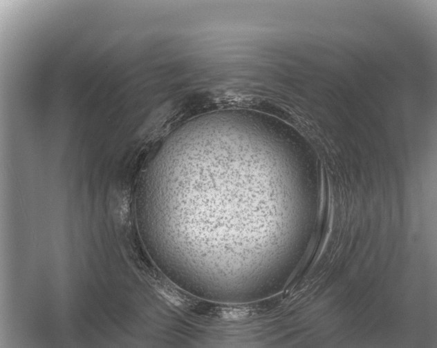 X0000058140709200509302019