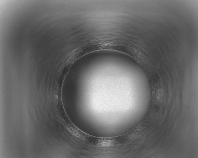 X0000058140710200509302019