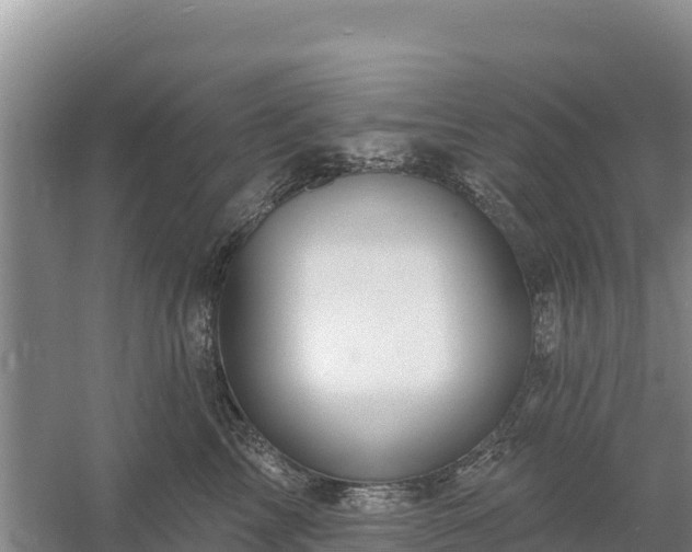 X0000058140713200509302019