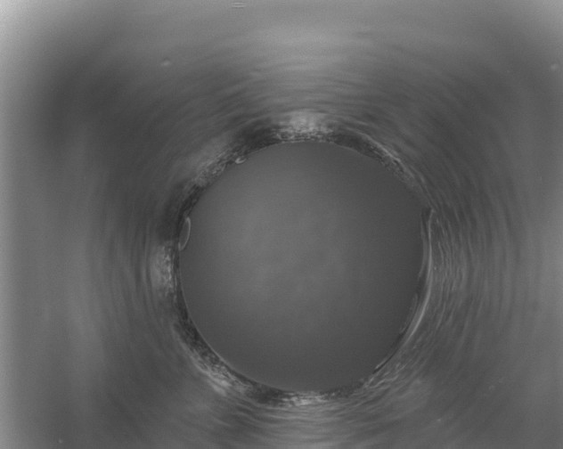 X0000058140715200509302019