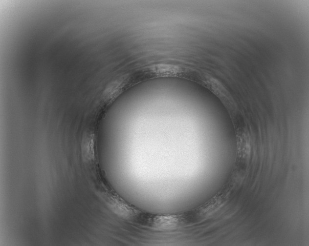 X0000058140717200509302019