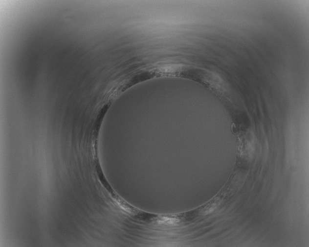 X0000058140718200509302019