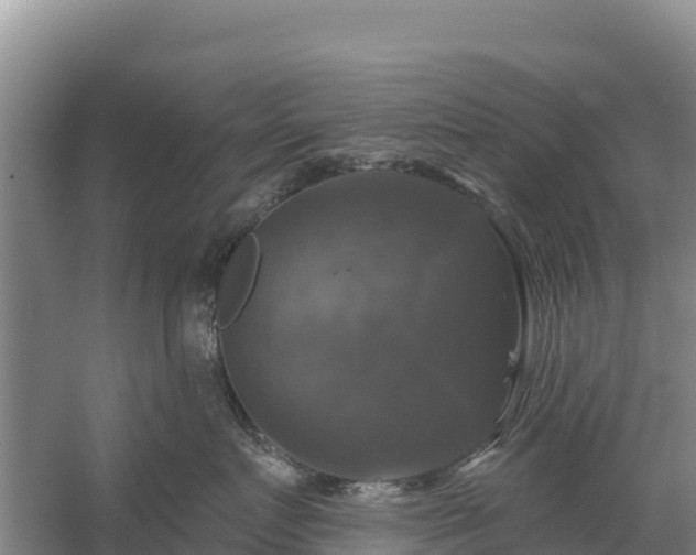 X0000058140719200509302019