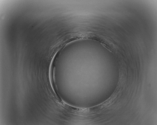 X0000058140720200509302019