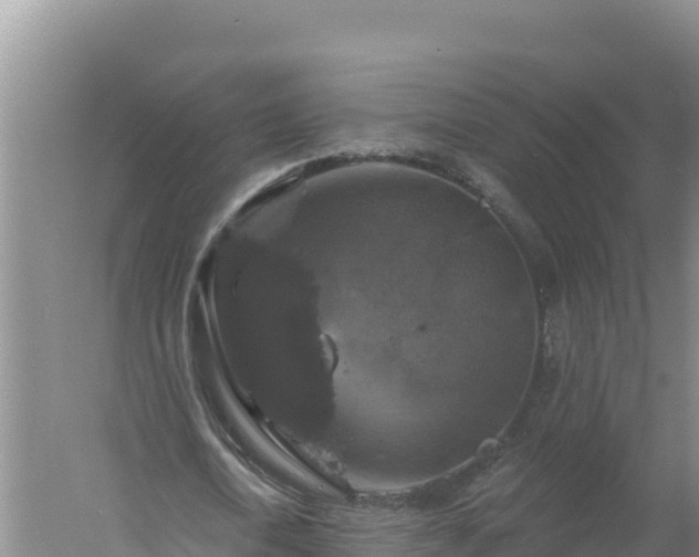 X0000058140722200509302018