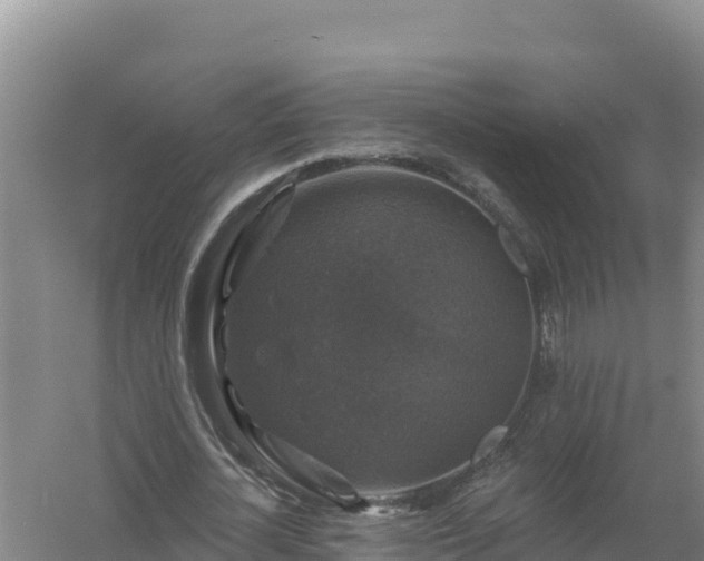 X0000058140724200509302018