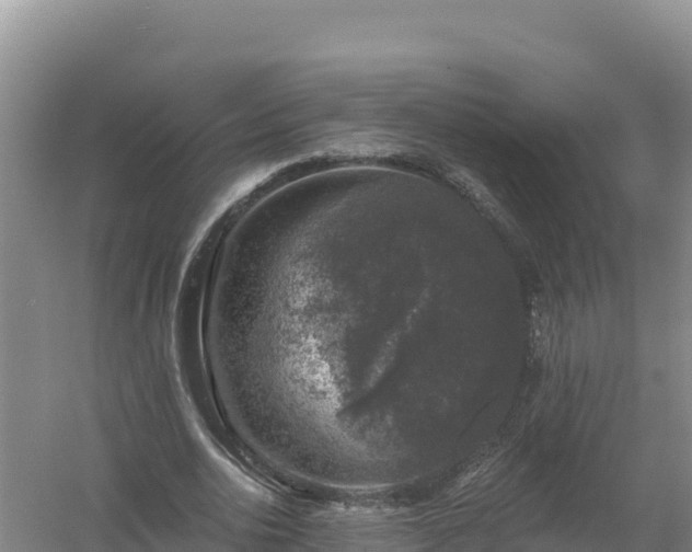 X0000058140726200509302018