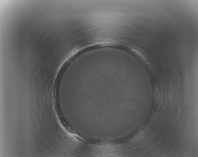 X0000058140730200509302018