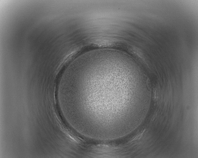 X0000058140733200509302018