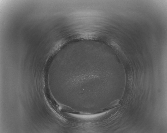 X0000058140734200509302018