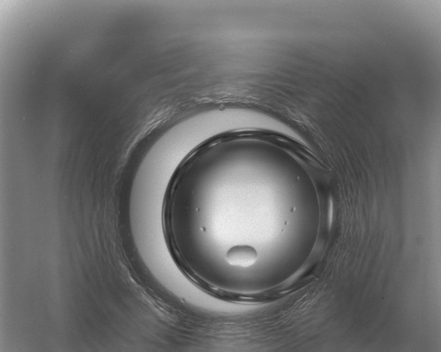 X0000058140735200509302018