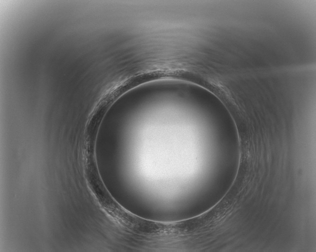 X0000058140736200509302018