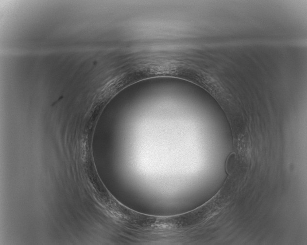 X0000058140741200509302018