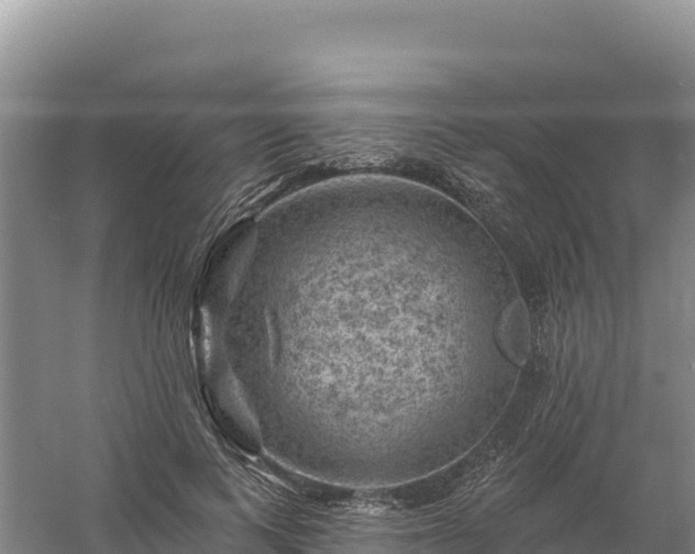 X0000058140743200509302018