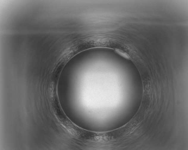 X0000058140744200509302018