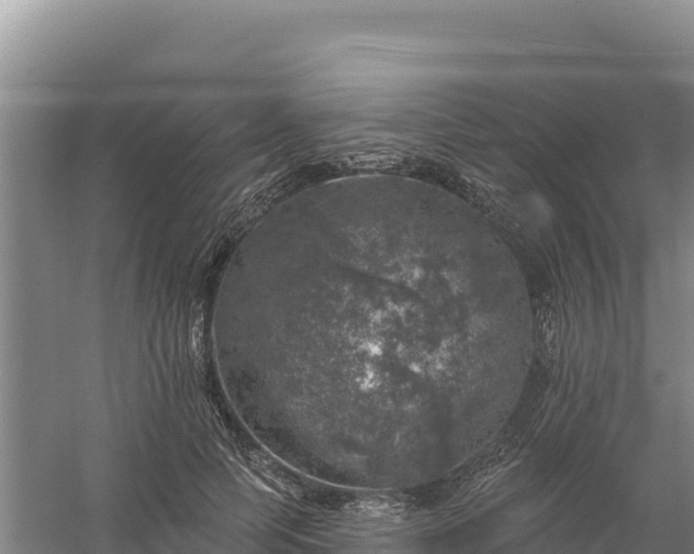 X0000058140745200509302018