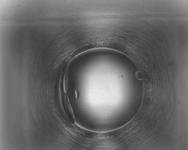 X0000058140746200509302018