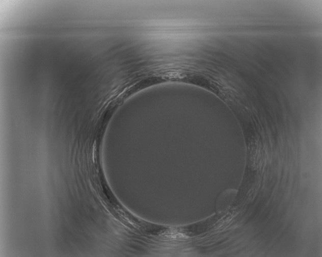 X0000058140747200509302018