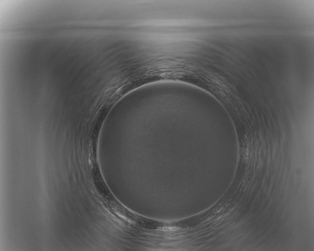 X0000058140748200509302018