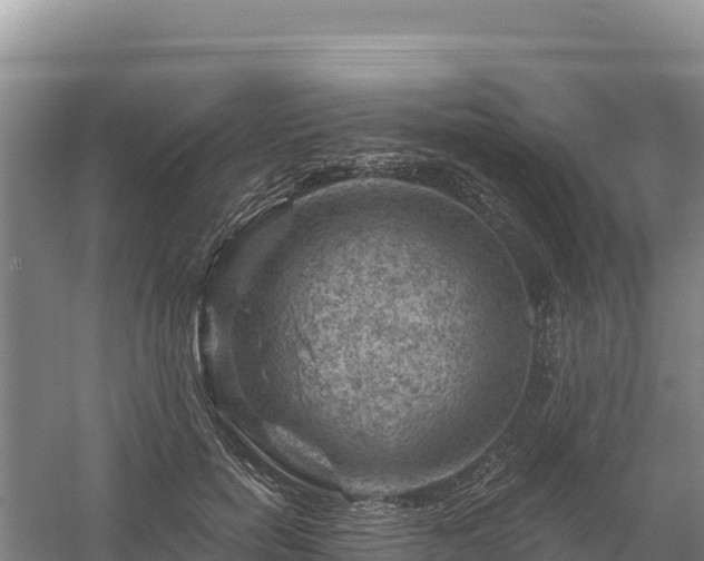 X0000058140750200509302018