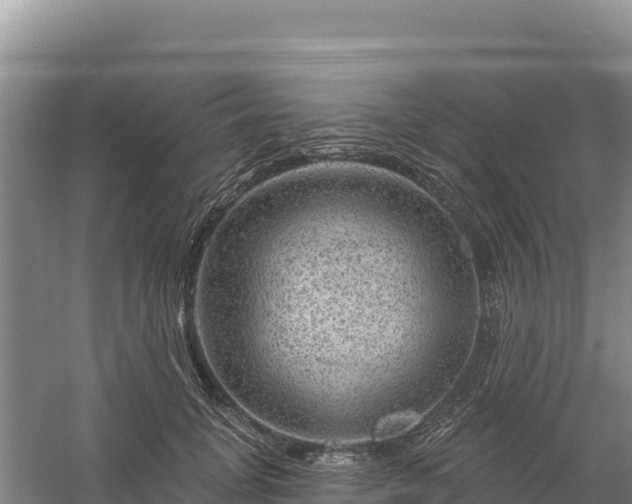 X0000058140751200509302018