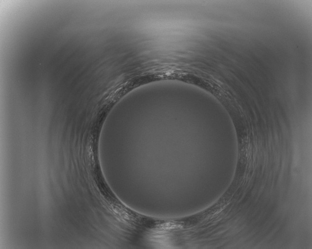 X0000058140754200509302018