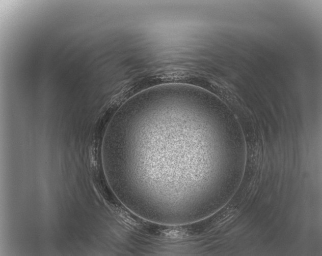 X0000058140755200509302018