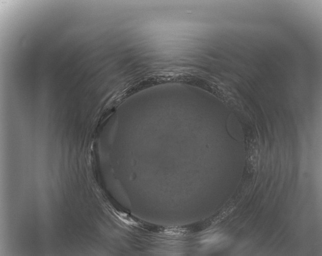 X0000058140758200509302018