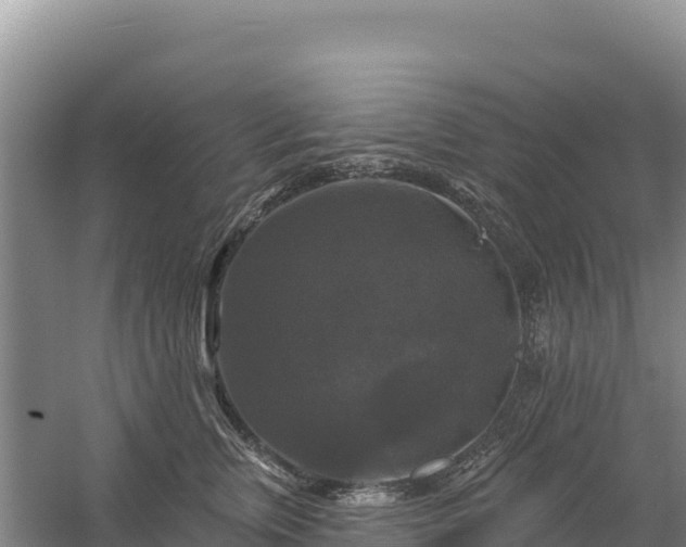 X0000058140759200509302018