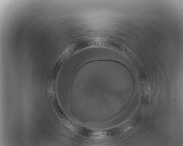 X0000058140760200509302019