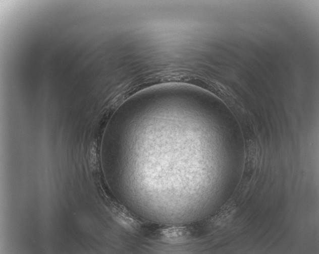 X0000058140761200509302019