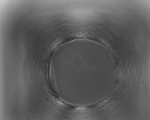 X0000058140762200509302019