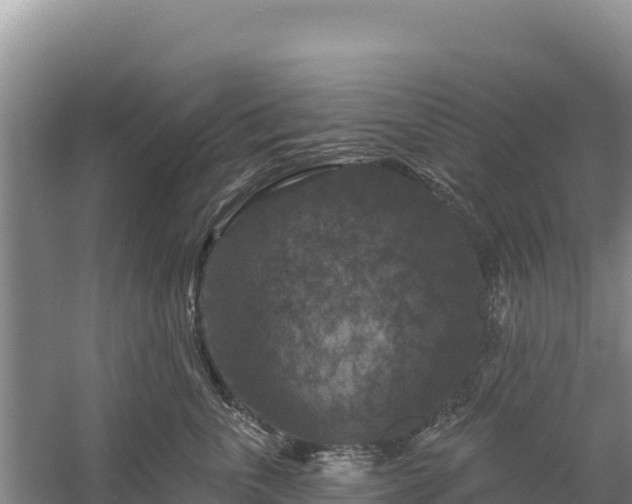 X0000058140763200509302019