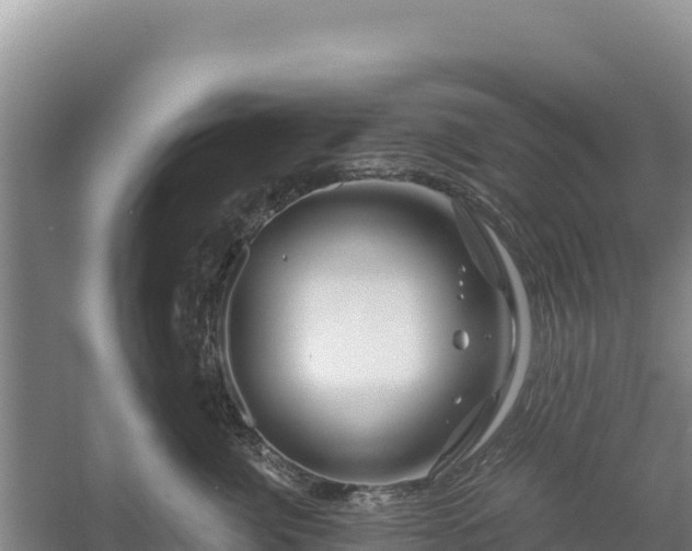 X0000058140764200509302019