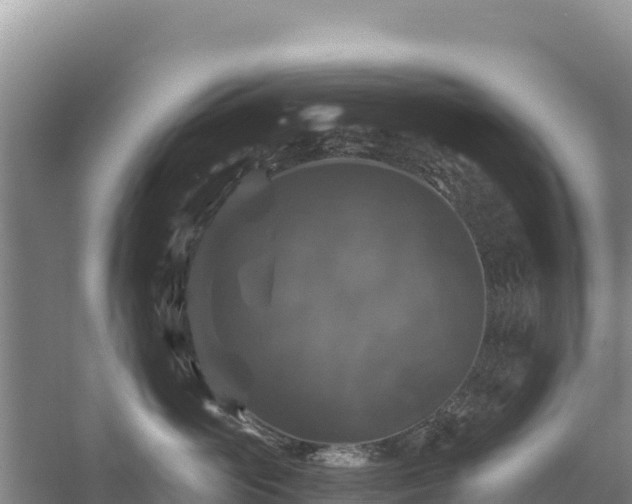 X0000058140765200509302019